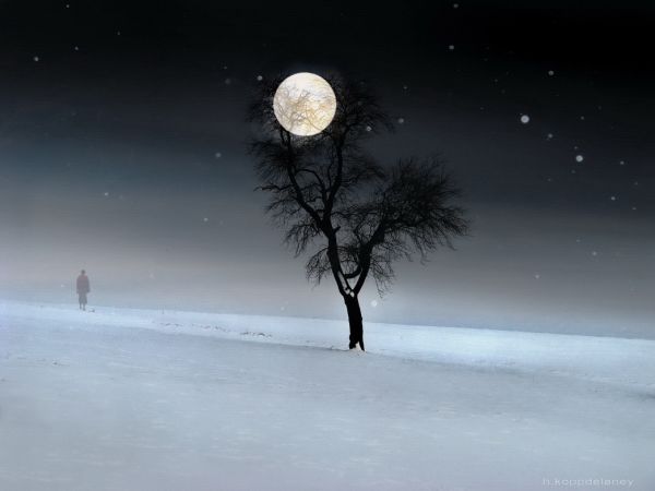 first-day-winter-full-moon-snow-tree-walk