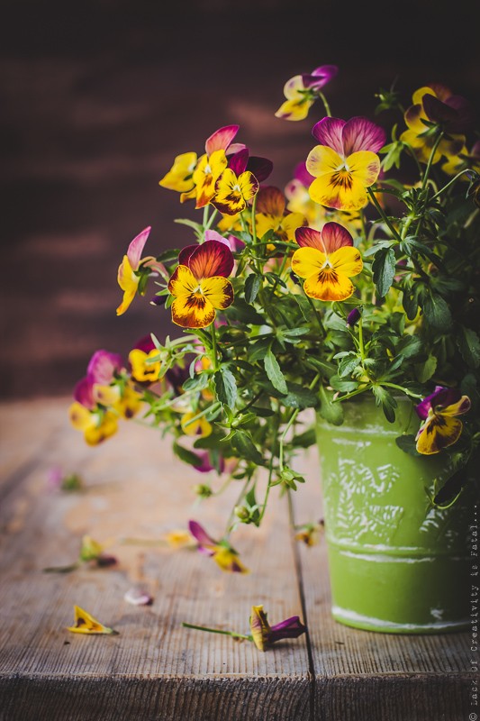 Beautiful pansies in green pot on rustic wooden table. Selective focus.
